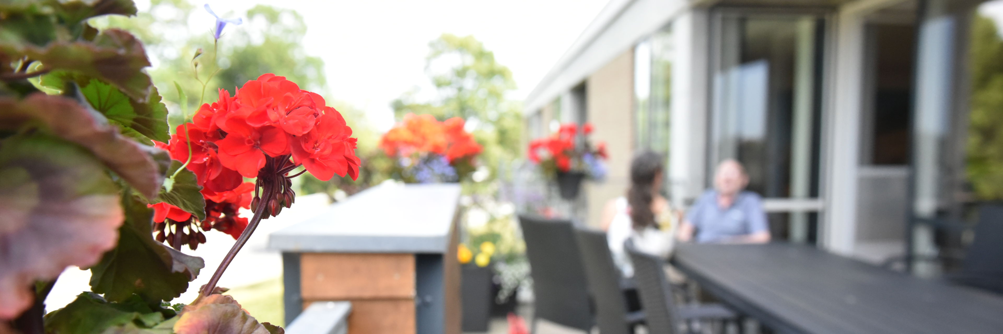 Terrasse med blomsterkummer hos Kollektivhuset