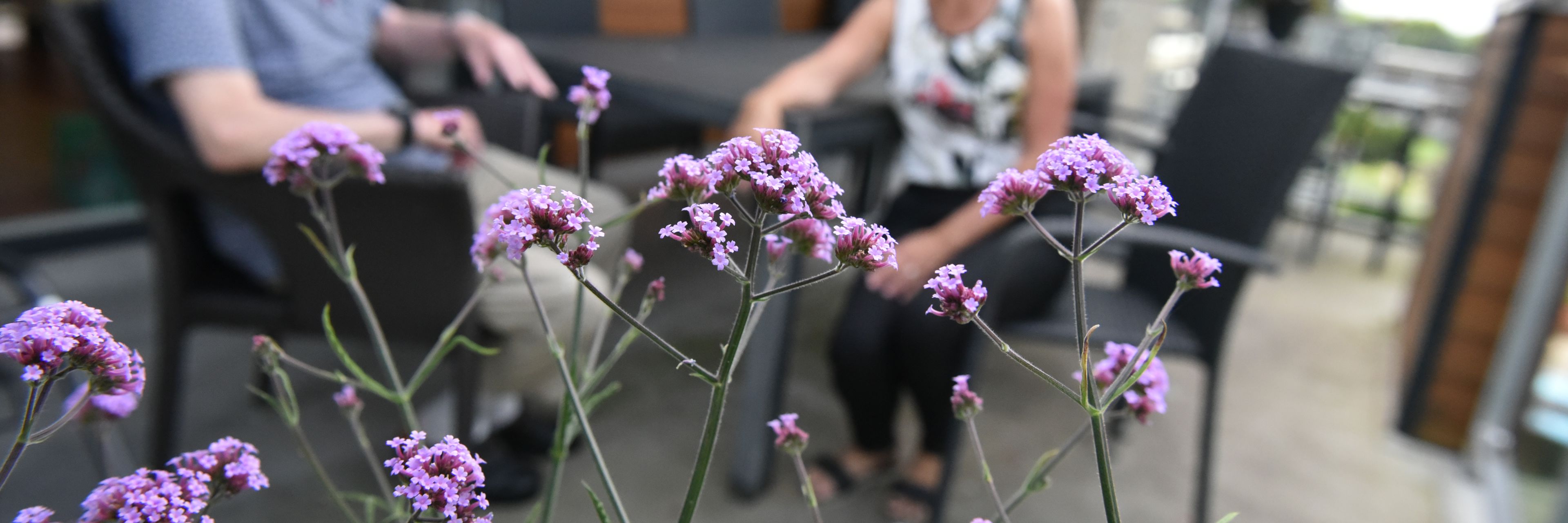 Blomster på Kollektivhuset