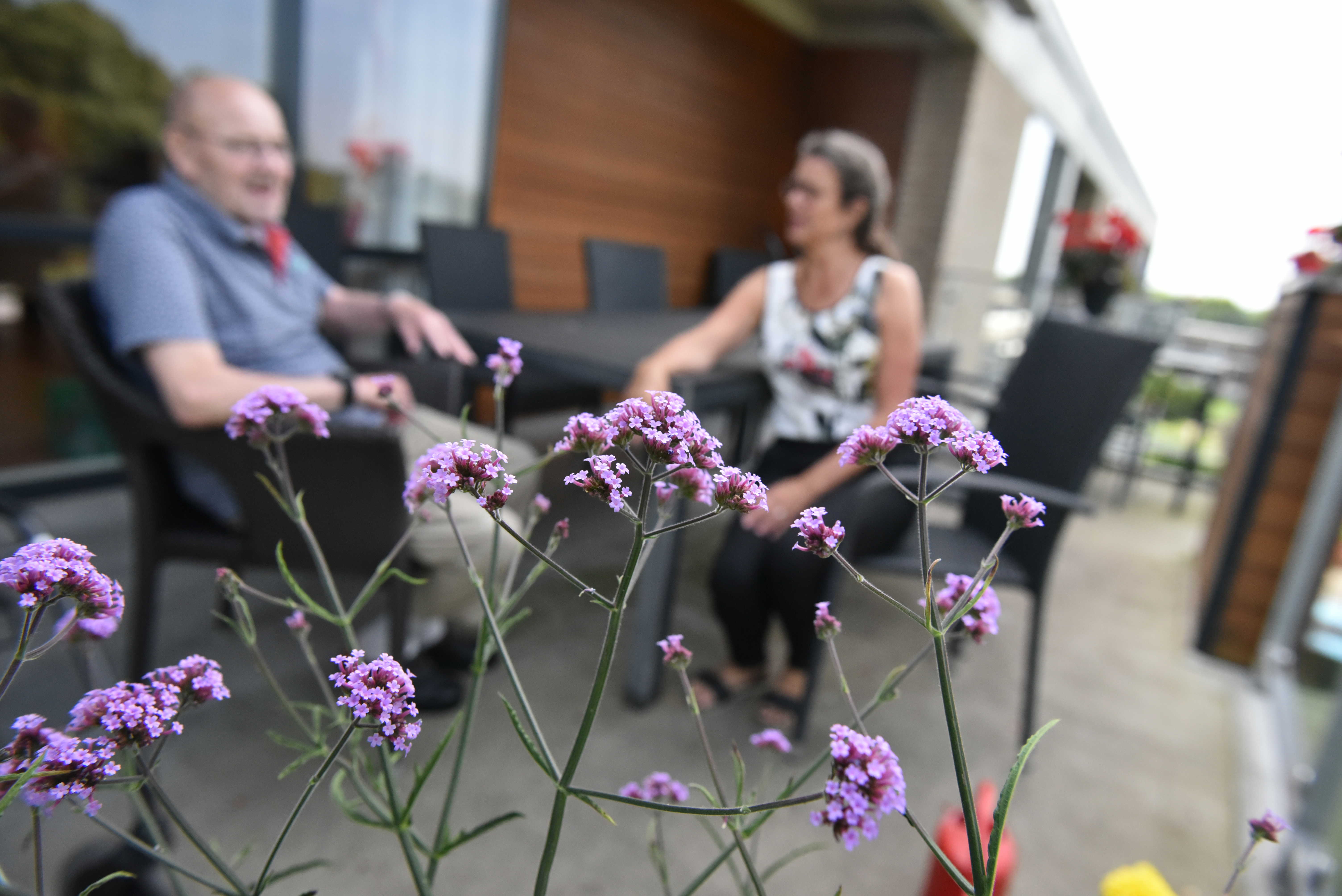 Blomster på Kollektivhuset