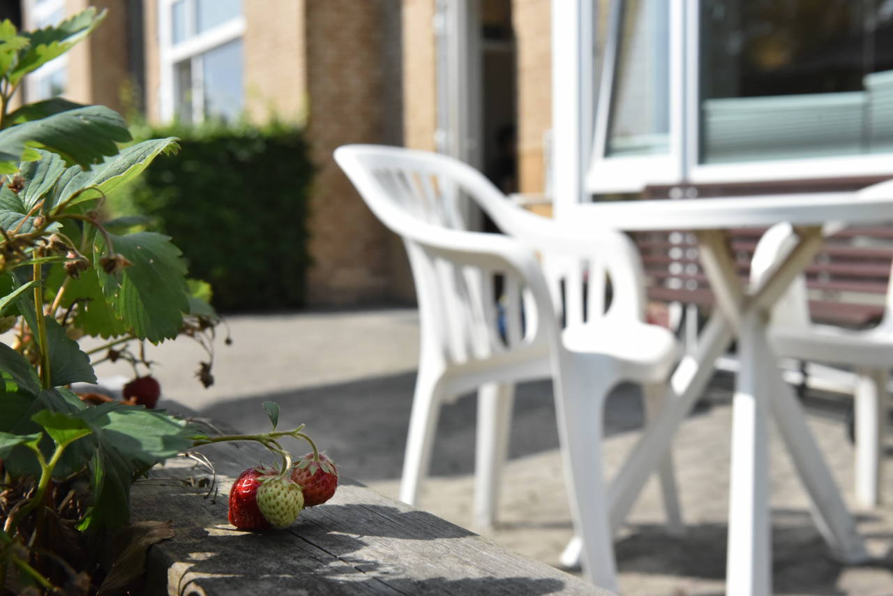 Terrasse og jordbærbed hos Kollektivhuset