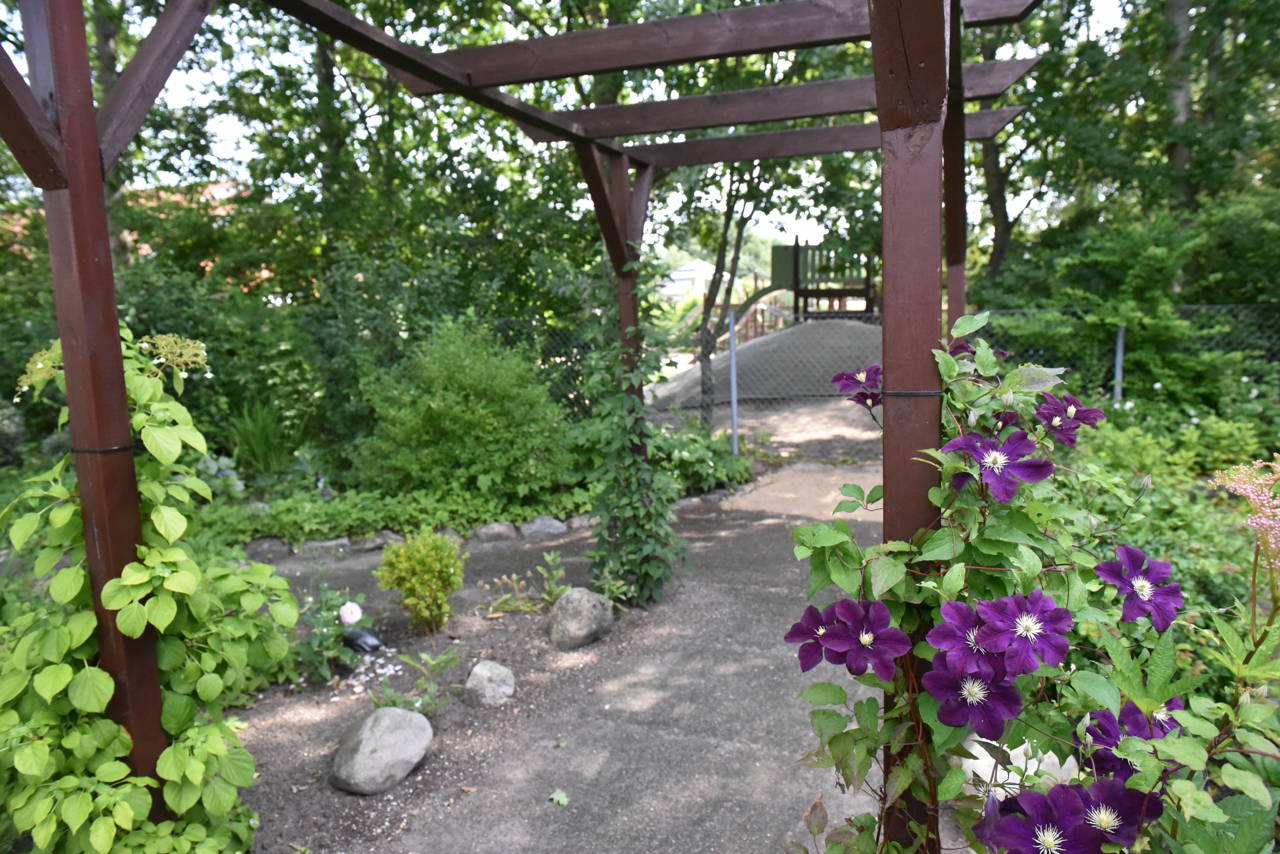 Have med buske og gangsti hos Kollektivhuset