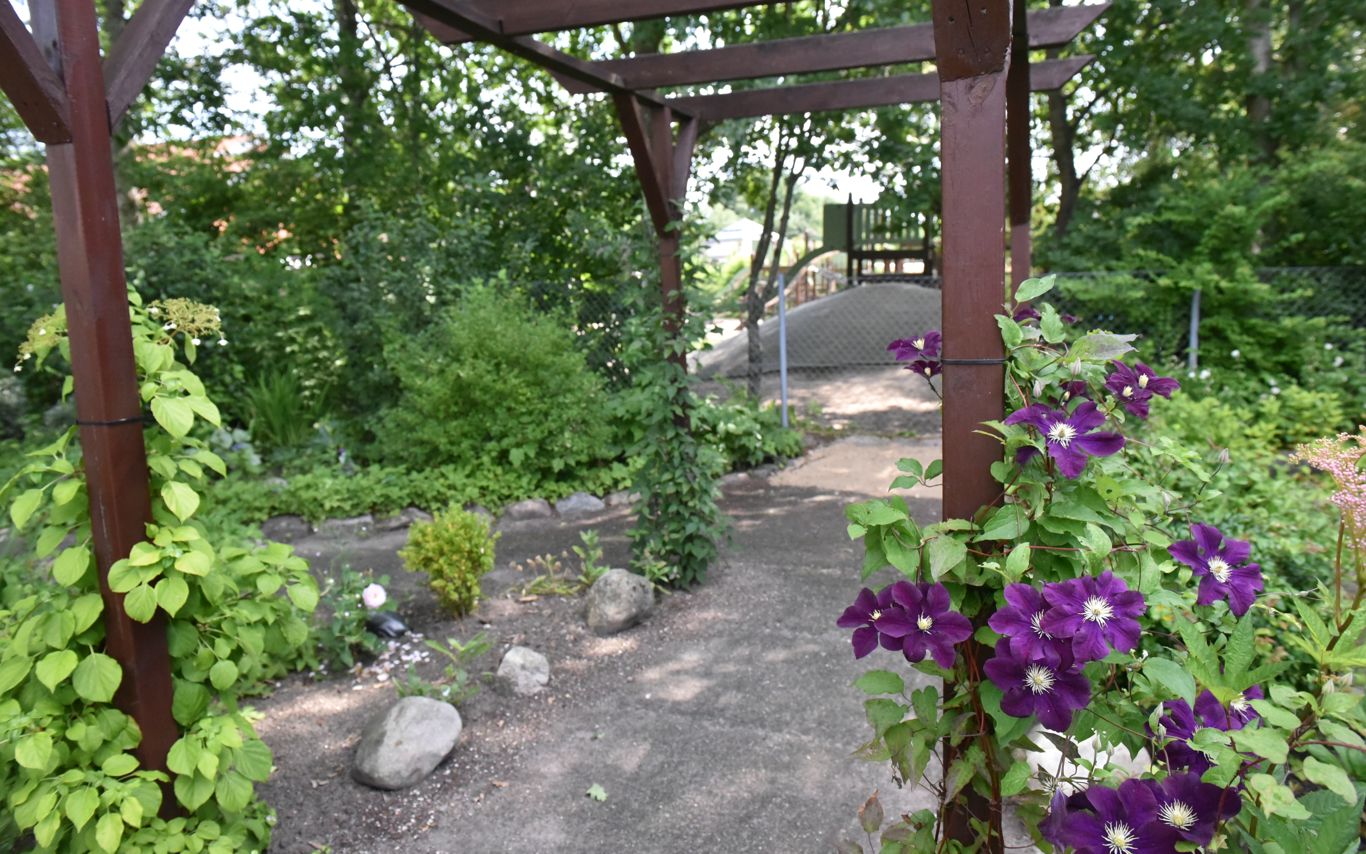 Have med buske og gangsti hos Kollektivhuset