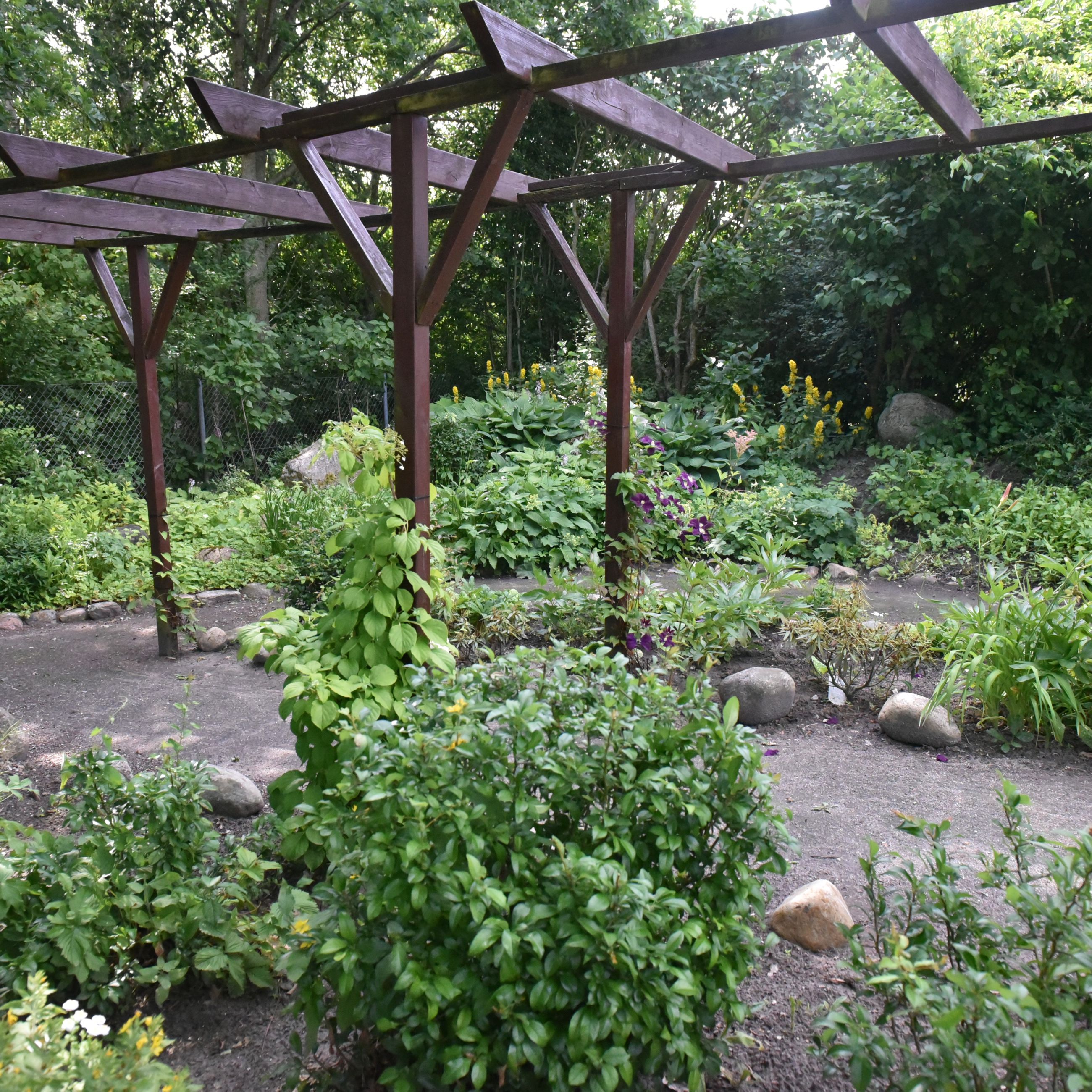 Have med buske og gangsti hos Kollektivhuset