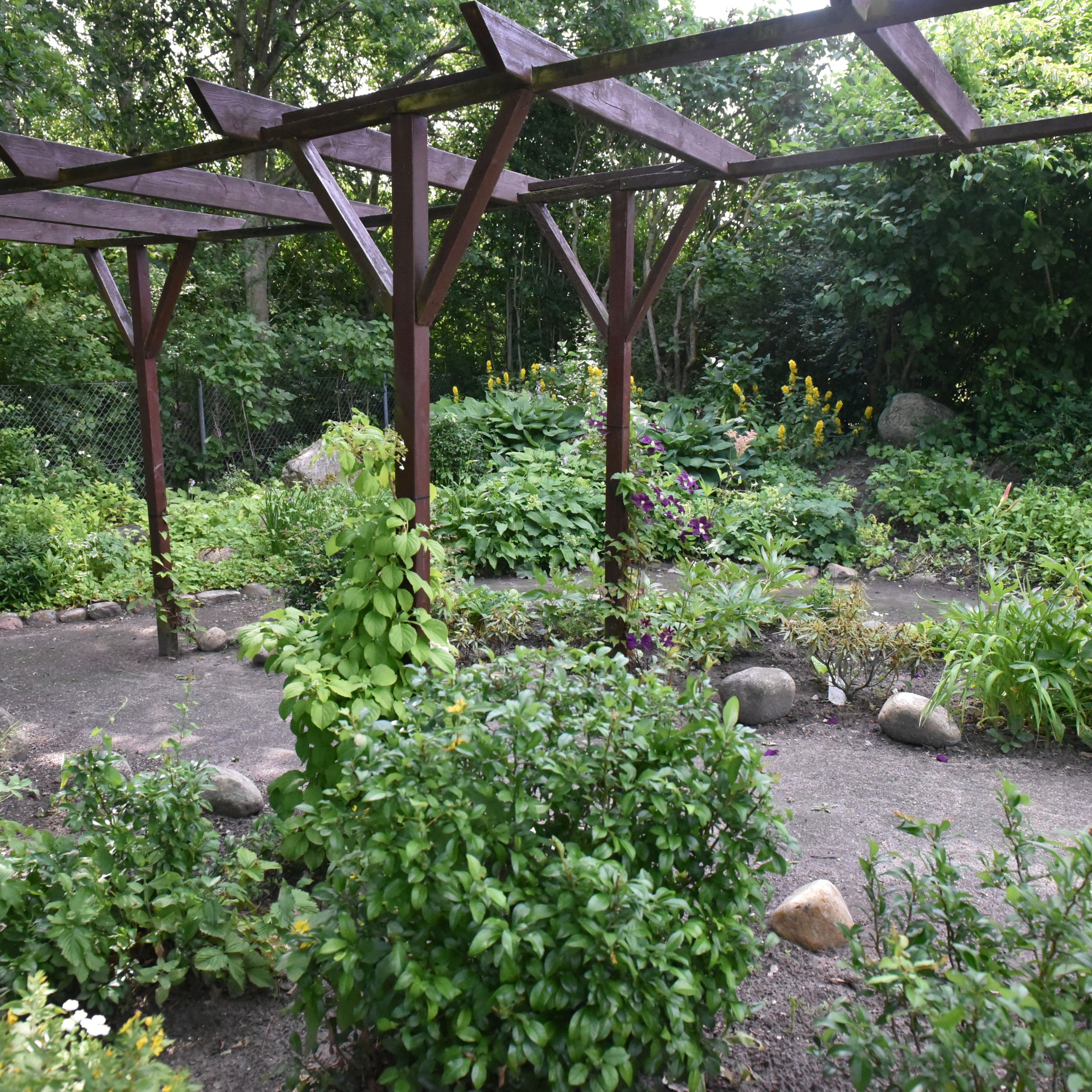 Have med buske og gangsti hos Kollektivhuset