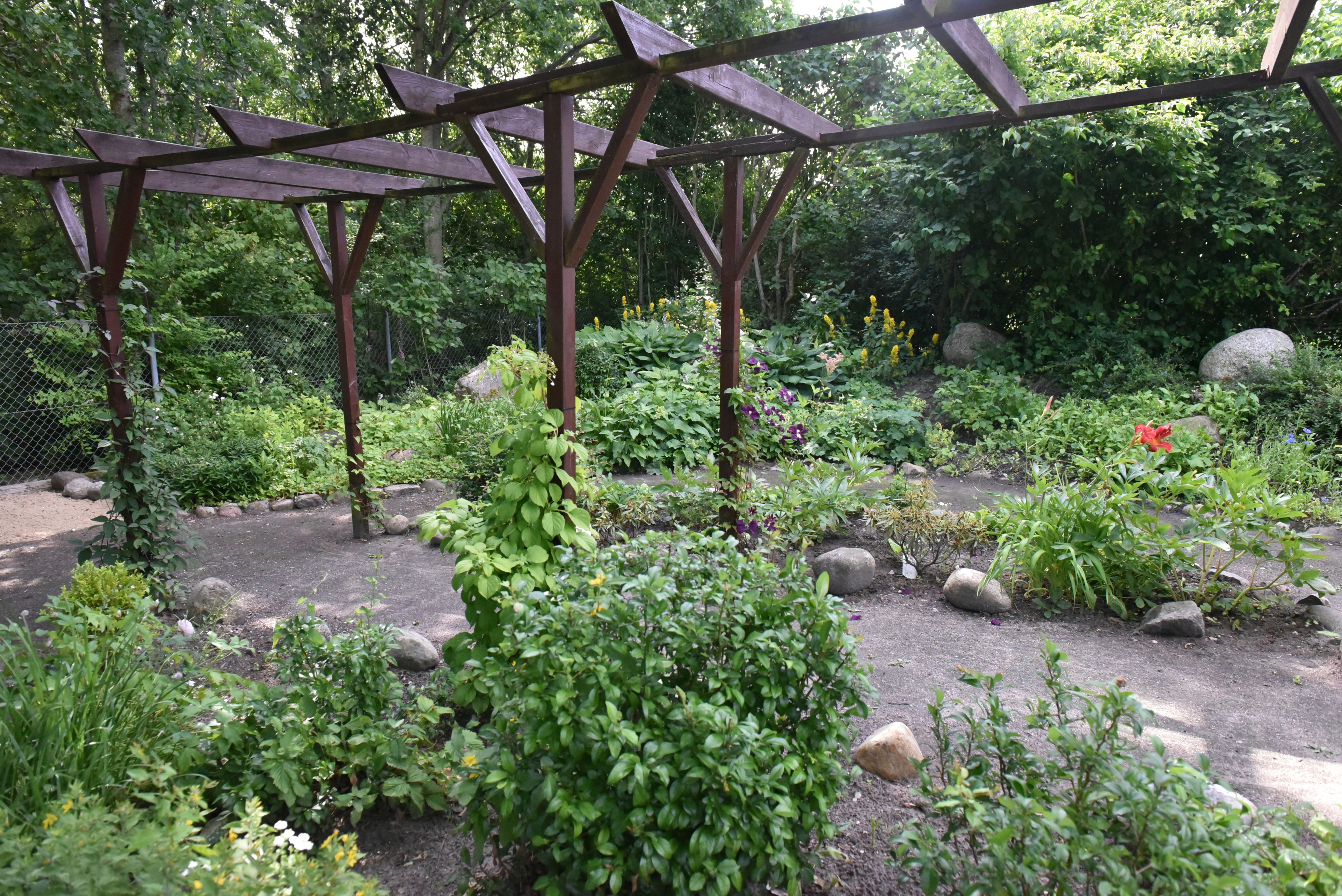 Have med buske og gangsti hos Kollektivhuset